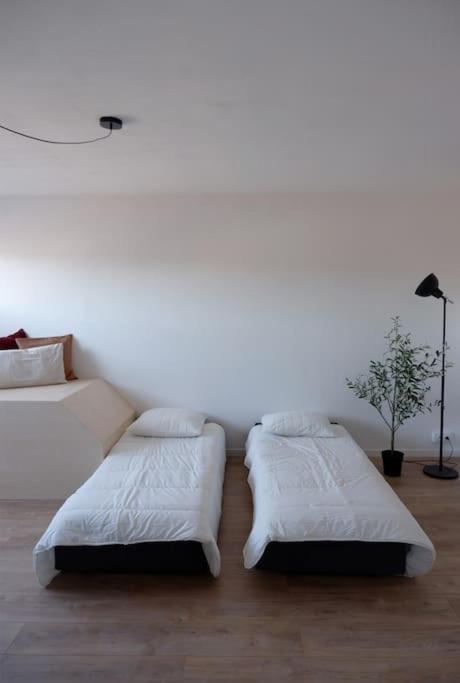 E Centre Ville Professeur Langevin Spacieux Cosy Épernay Esterno foto