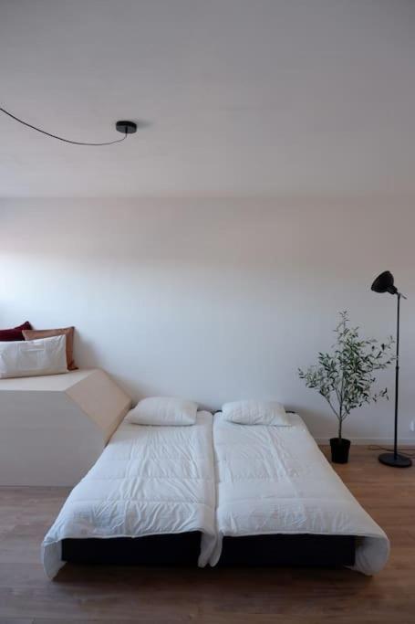 E Centre Ville Professeur Langevin Spacieux Cosy Épernay Esterno foto